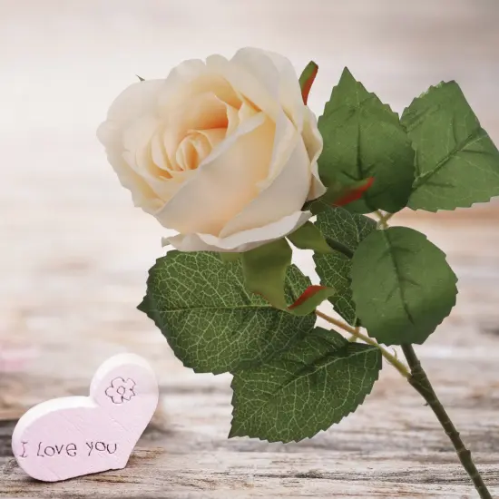 Cream Rose Bud Stem - 48-Pack, Realistic Silk Foliage, Lifelike Blooms, Perfect for Floral Arrangements, Events & Home D&eacute;cor - Ideal for All Seasons, Floral Home by Artificial Flowers {2}