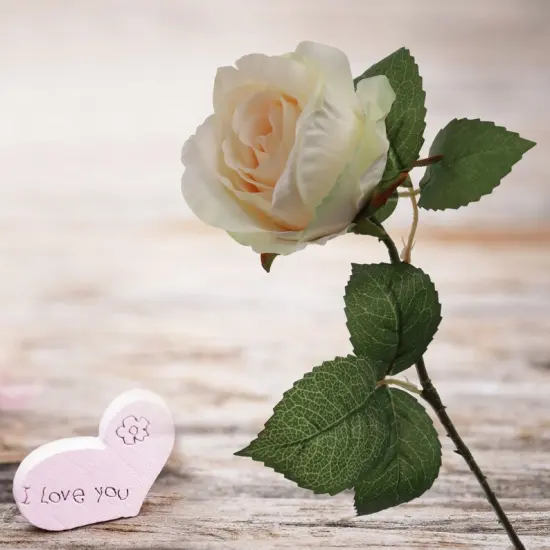 Champagne Chic: 20" Realistic Silk Champagne Rose Bud Stem - 6 Piece Set - Elevate Your Event Decor with these Stylish Flowers {3}