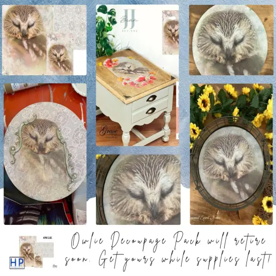 Owlie the Owl - Decoupage & Mixed Media Art Paper (large) {3}