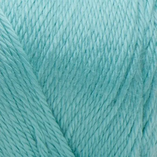 (Pack of 3) Caron Simply Soft Solids Yarn-Robin's Egg {2}