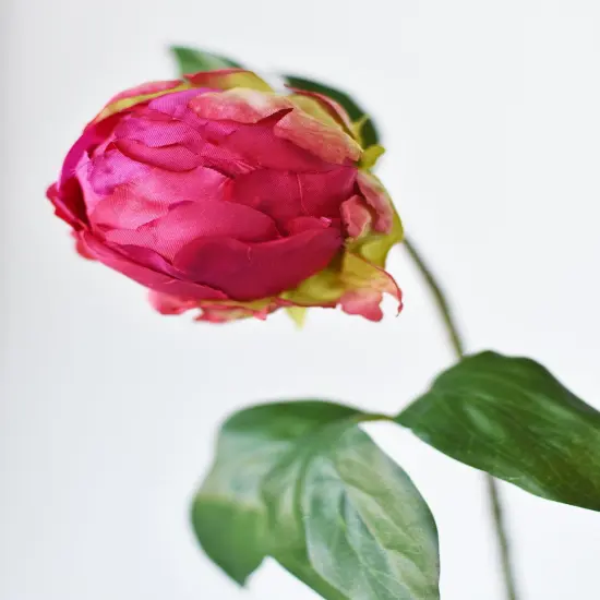 18" Faux Peony Bud Stem Fuchsia {1}