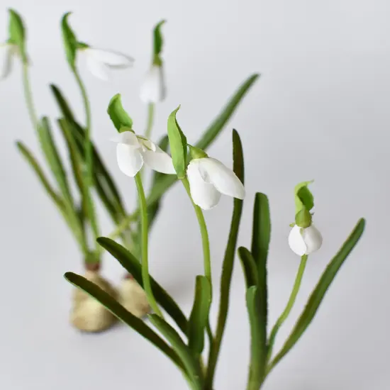 10" Faux Standing Snowdrop w/Bulb {2}
