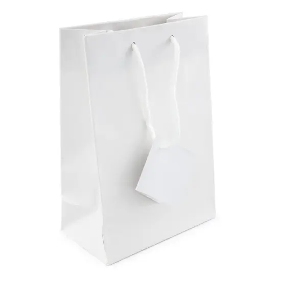 Gift Bag Medium Glossy White (Package of 20) {1}