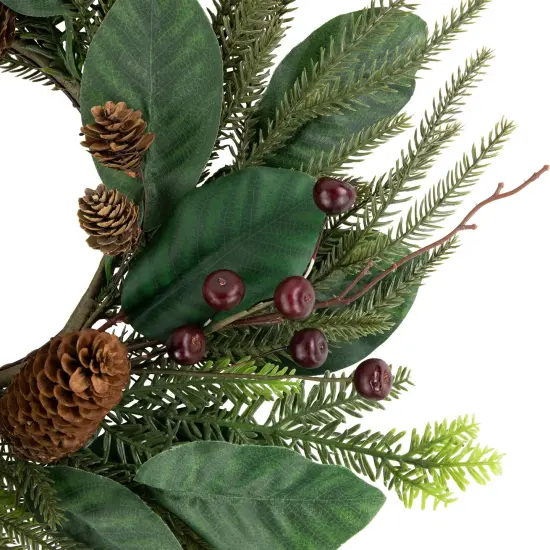 Northlight Mixed Foliage with Berries Artificial Christmas Wreath, 20-Inch, Unlit Green {3}