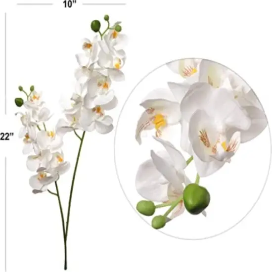24-Pack: White Phalaenopsis Orchid Spray with 16 Silk Flowers, Floral Home by Artificial Flowers {2}
