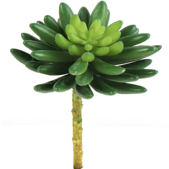 24-Pack: Real Touch Sedum Succulent Plant, 4" Wide, Floral Home by Artificial Flowers {1}