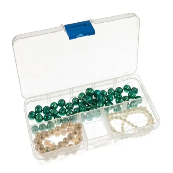 10-Compartment Clear Plastic Small Jewelry Organizer {3}