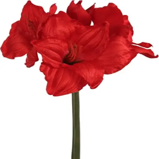 Set of 24 Striking 26" Red Amaryllis Flowers - Artificial Indoor/Outdoor Floral Decor for Home, Office, and Events, Floral Home by Artificial Flowers {1}