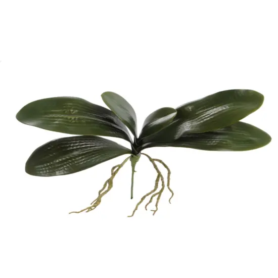 12-Pack: 16" Phalaenopsis Orchid Foliage Cluster Pick , Floral Home by Artificial Flowers {1}