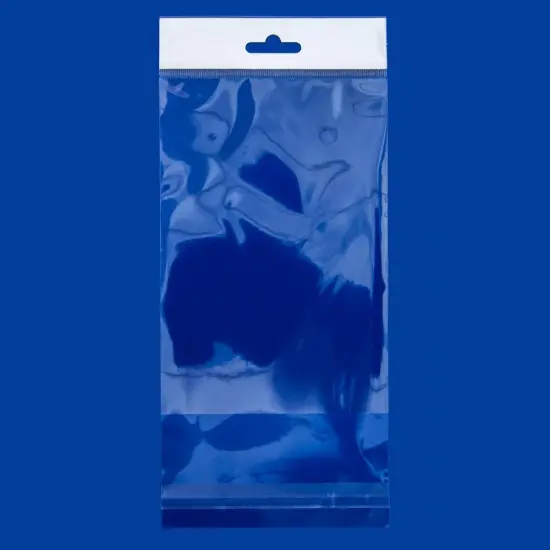 Resealable Polypropylene Bags with Hanging Header 4x6" (Package of 100) {1}