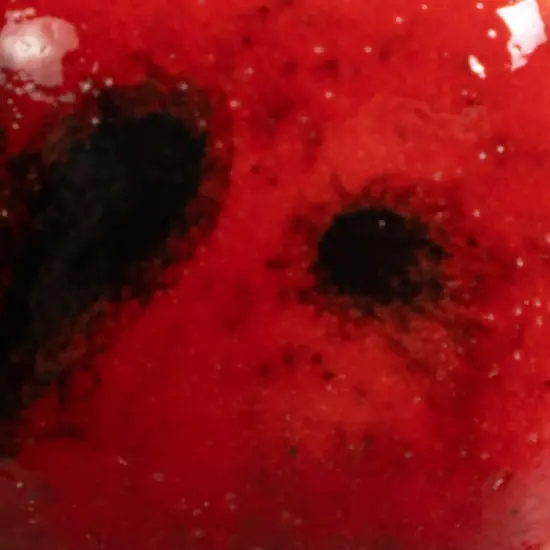 Ladybug Mayco Jungle Gem's Crystal Glaze 4oz Jar {2}