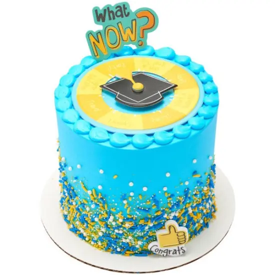 What Now? Grad Spinner DecoSet Cake Decoration {3}
