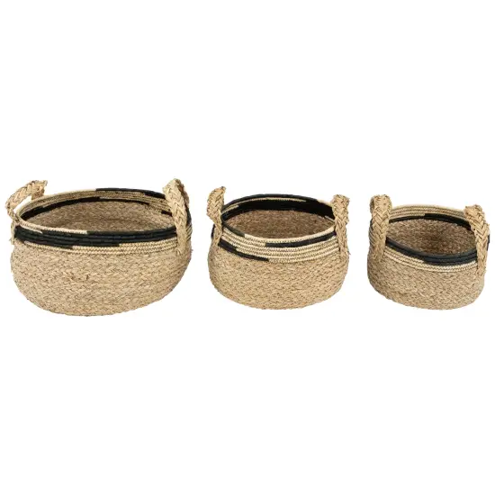 Northlight Set of 3 Khaki and Black Braid Weave Seagrass Storage Baskets with Handles 13.75" Brown {1}