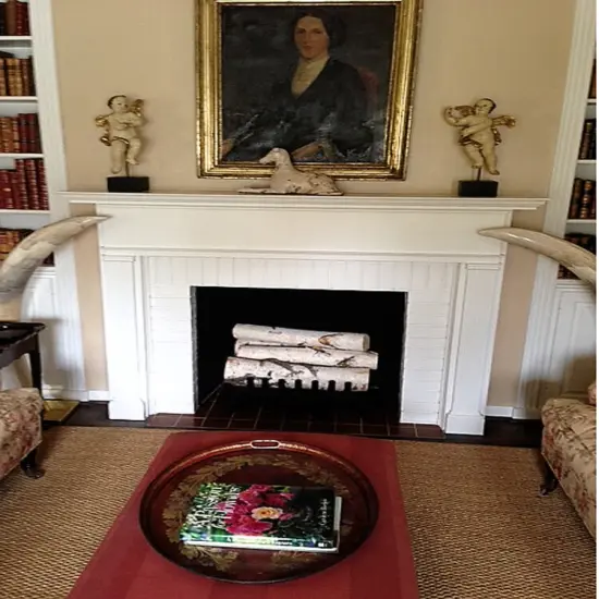 Wilson Large Birch Fireplace Logs, Decorative, Natural Bark Home Decor {4}