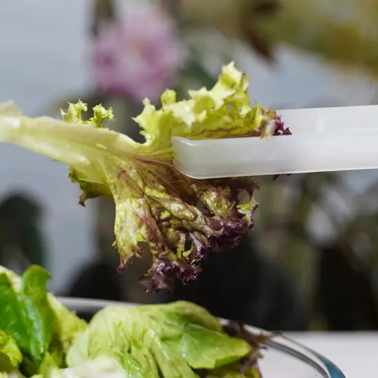 18 Pieces Plastic Serving Utensils, 9" Clear Disposable Utensils, 6 Serving Tongs, Spoons, Forks {2}