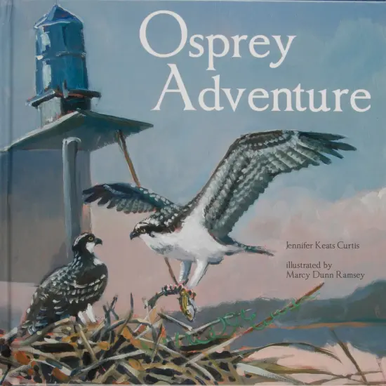 Osprey Adventure {1}