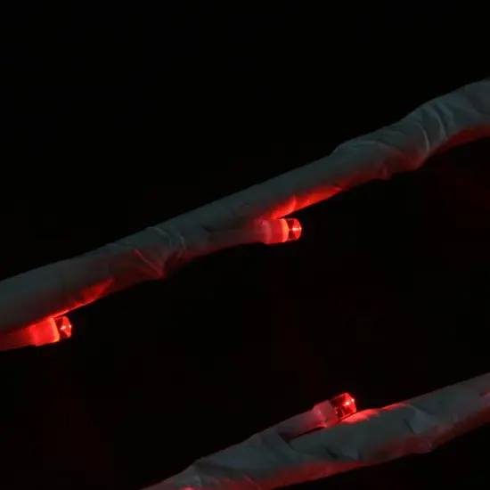 Northlight LED Lighted Branch Spray Outdoor Christmas Pathway Marker - 72"- Red White {4}