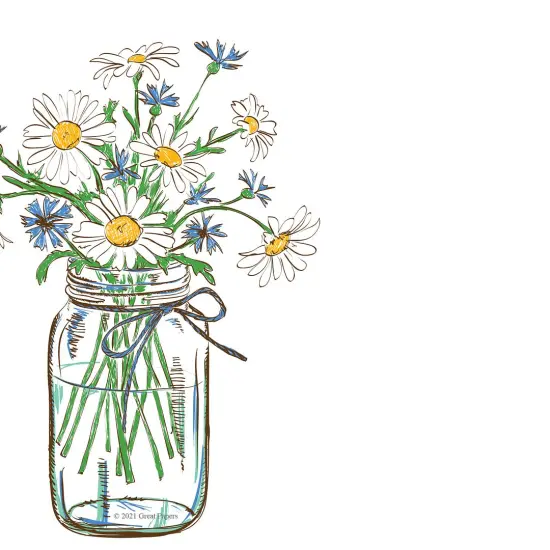 Great Papers! Mason Daisies Stationery Letterhead, Invitations and Announcements, Printer Friendly, 8.5"x11", 80 Pack {2}