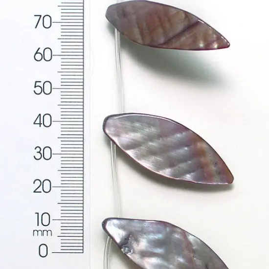 6 Packs of Tinted Shell Leaf Gray 2x8" Strand {1}