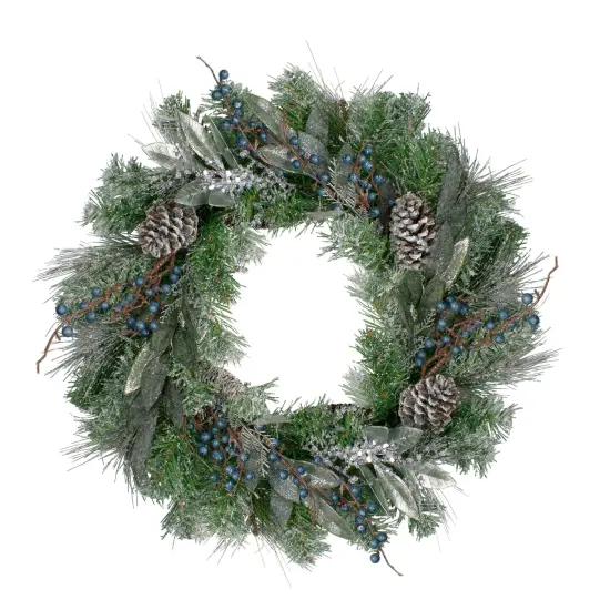 Northlight Mixed Iced Pine and Blueberries Artificial Christmas Wreath - 24" - Unlit Green {1}