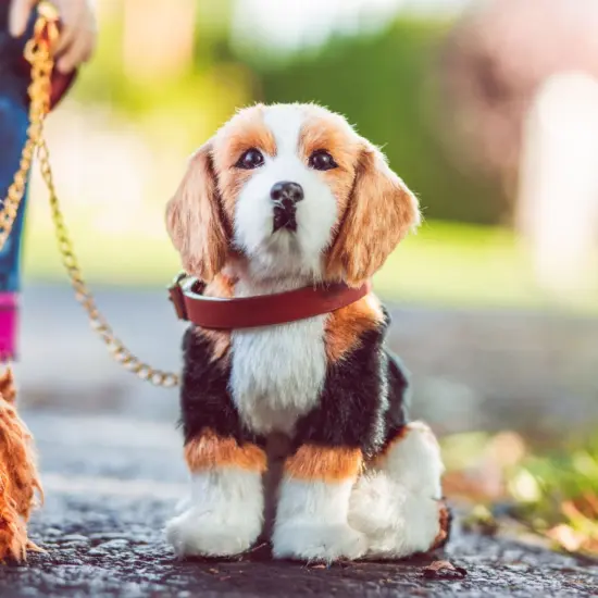 The Queen's Treasures Set of 4 Puppy Dog Pets For Use With 18 Inch Dolls {6}