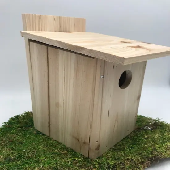 Kids DIY Birdhouse Kit - Inside Viewing Window {3}