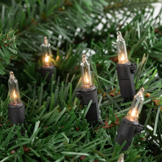 Northlight Mini Incandescent Christmas Lights - Clear - 20.25' Black Wire - 100ct {4}