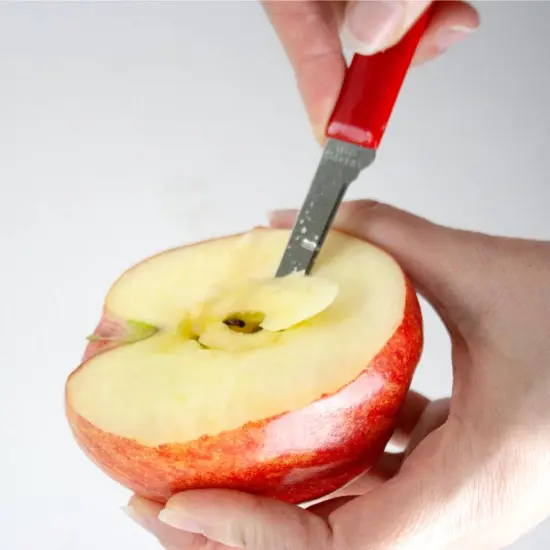 Lehman's Paring Knife Set, Sharp Flexible Stainless Steel Peeling Coring Knives, 2.5 inch Blades, Pack of 3 {5}