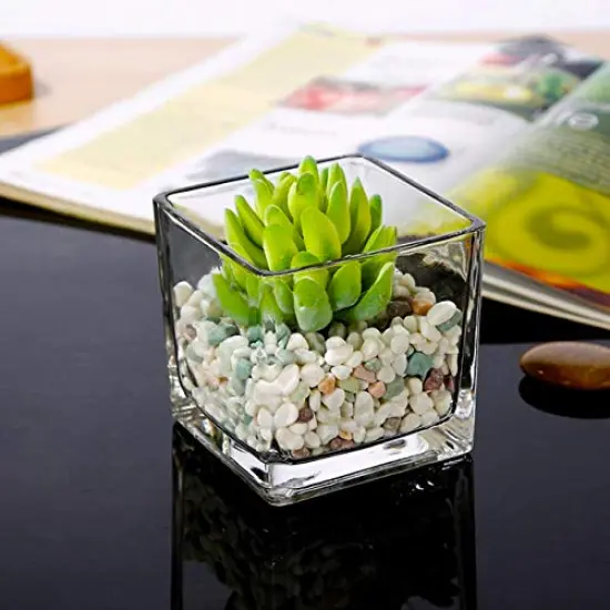 2 Pieces Square Glass Vase Clear Flower Decorative Centerpiece for Home or Wedding, Candle Holder, 5 x 5, {2}