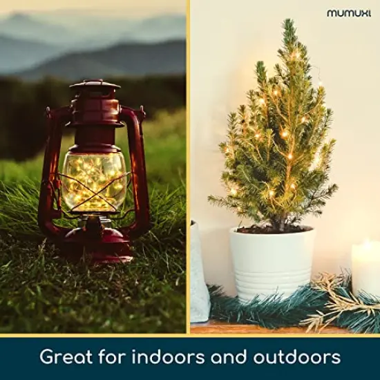 20 Pack LED Fairy Lights Battery Operated String Lights 3.3ft 20 Mini Fairy Lights Battery Powered Party Wedding Centerpiece Decorations Crafts Mason Jar Lights Firefly Lights, Warm White {4}