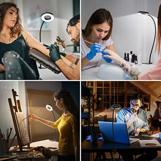 Desk Lamp, [3 Color Modes & 10 Brightness] LED Reading Light with Clamp, Flexible Gooseneck Book Light for Kids Reading Book in Bed at Night Clip on Table, Headboard, Dorm - 15.8&lsquo;&rsquo; Black {3}