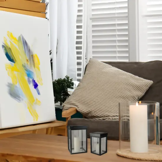 Kaemingk Set of 2 Lidded Black Fir Wood Display Boxes 16.5" {5}