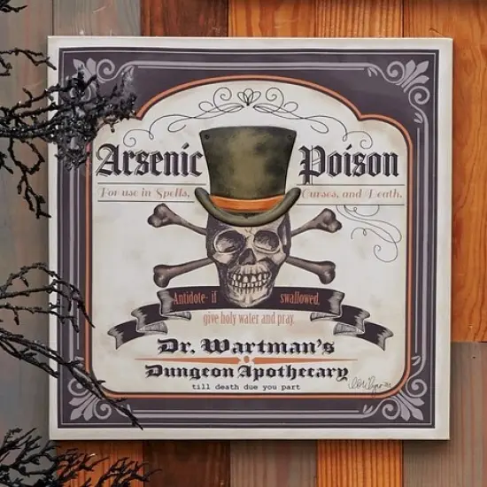 Dr. Wartman's 3D Poison Skeleton Halloween Wall Art Decor Decoration {4}