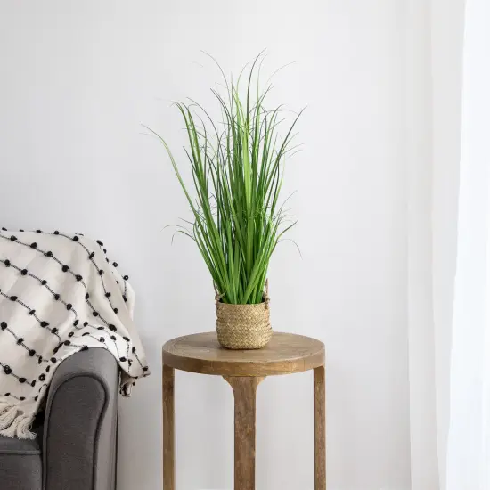 Northlight 28" Artificial Onion Grass Plant in Basket Green {3}