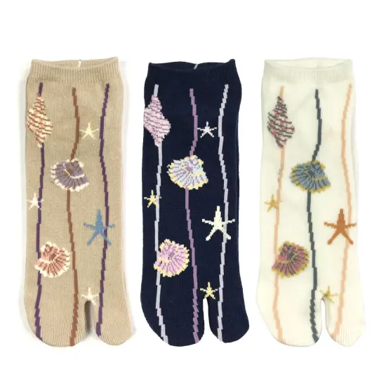 Wrapables Tabi Flip-Flop Socks (Set of 3), Ankle Length Seashells {1}