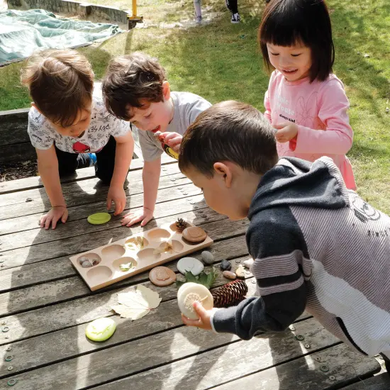Yellow Door Let's Investigate - Nature - Set of 8 Stones {4}