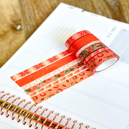 Peaches Orange Cream Peach Colored Spring Washi Tape Set June 2024 - W110 {4}