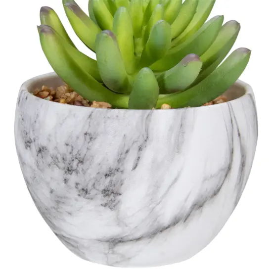 Northlight 4.25" Green Artificial Succulent in Faux Marble Pot {5}