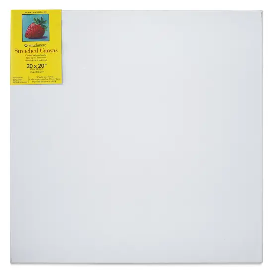 Strathmore 300 Series Stretched Cotton Canvas - 3/4" Profile, 20" x 20" {1}