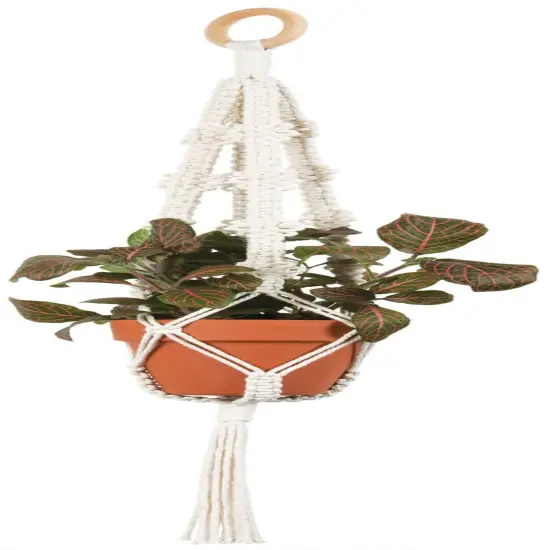 Solid Oak Macrame Plant Hanger Kit-4 Picots {2}