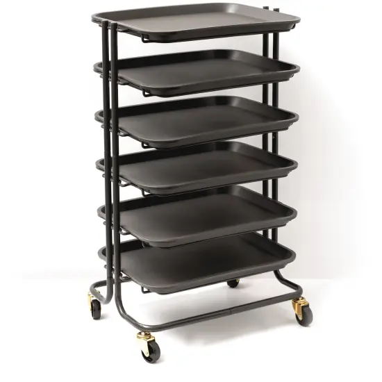 We R Project Cart-6 Removable Trays {2}