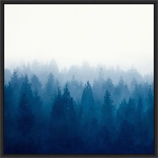 Heart and Soul - Foggy Forest by Dirk Wustenhagen Framed Canvas Wall Art {1}