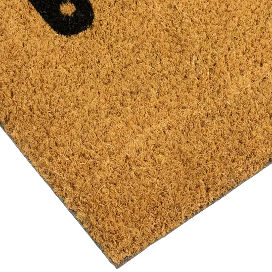 Northlight Natural Coir Home Heart Outdoor Doormat 18" x 30" Brown {6}