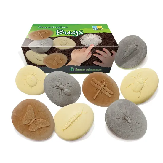 Let's Investigate Bugs Stone, Pack of 8 {1}