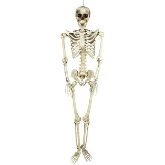 Northlight Life Size Skeleton Halloween Hanging Decoration - 5' Ivory {3}