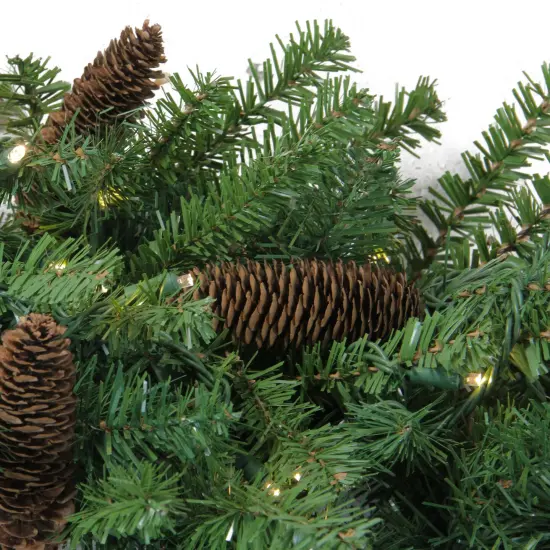 Northlight Pre-Lit Dakota Red Pine Artificial Christmas Wreath - 48" - LED Warm White Lights Green {3}