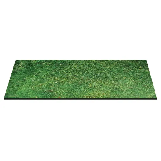 Kaplan Early Learning Company STEM Play Mat - Grass {3}