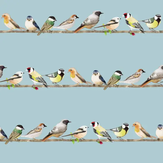 Transform Tweeting Blue Peel and Stick Wallpaper {2}