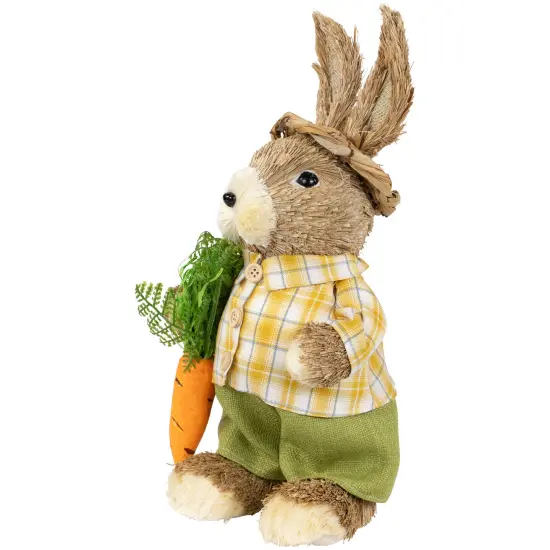 Northlight Rustic Boy Rabbit with Carrot Standing Easter Figure - 13.75" - Brown and Yellow {6}