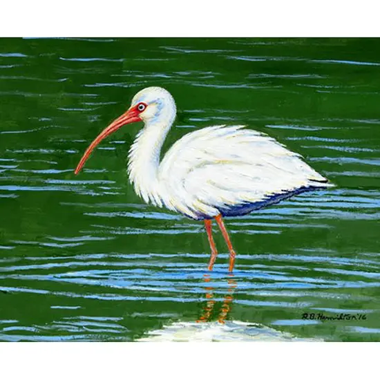 Betsy Drake White Ibis Place Mat Set of 4 {1}